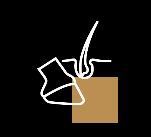 kachel equinova hoeveler fell hufe